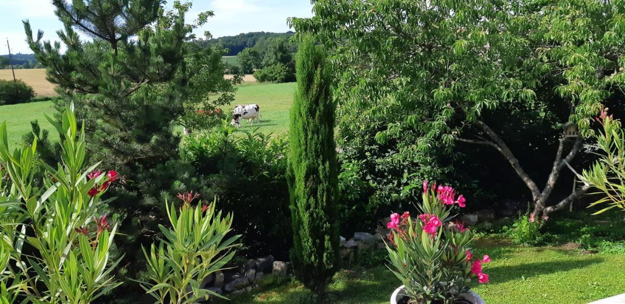 La Villanelle Maison D'Hotes Pelousey Luaran gambar